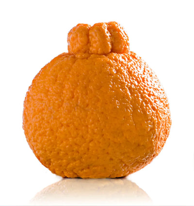 #37 Sumo® Mandarins (3 lbs)